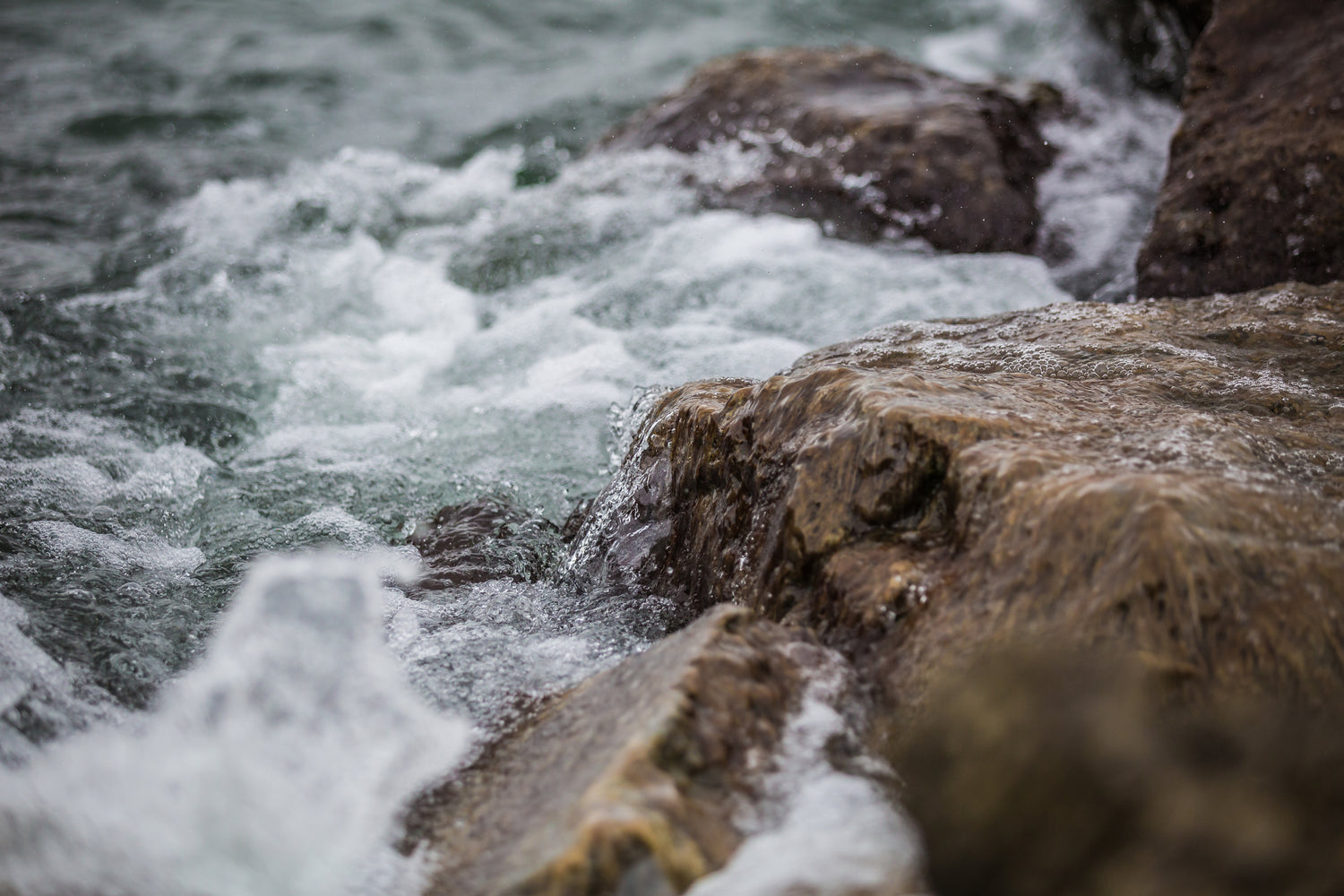 rocky shore